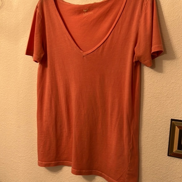 Stem top. - Picture 1 of 5